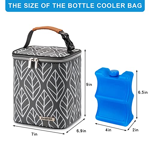 Чанта-хладилник за кърма BABEYER с пакет за лед с Капацитет 4 Бебешки бутилки с обем до 9 грама, Чанта за бебешки бутилки за грижа за кърмещи