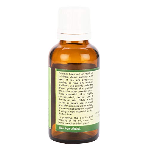 R V Етерично масло чиста ванилия 5 мл (0,169 унция)- Vanilla Planifolia ( Чист и натурален терапевтичен клас)