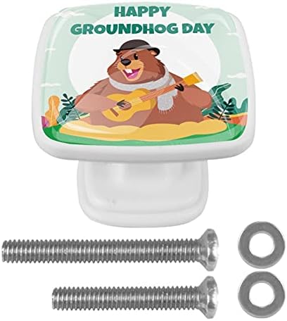 Groundhog day Gopher Свири На Китара Скрин Прибиращ се Дръжка с Винтове и Оборудване За Кабинет от Кристално Стъкло 4ШТ