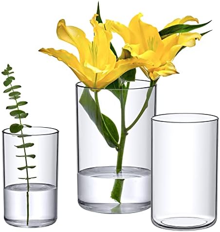 Amazing Antal - Vase Виола Grande - Акрилни Цилиндрични вази (Комплект от 3 теми), Пластмасови Цилиндрични вази за цветя