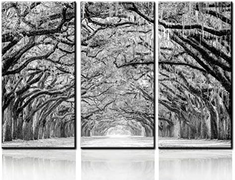 Черно-бяла зимна принт с изображение на голямо дърво, Абстрактно произведение на платно, растянутое и оформено в рамка, на пешеходна