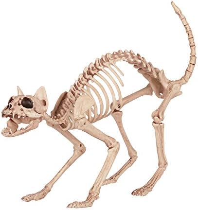 Луд Кот-Скелет от Кости