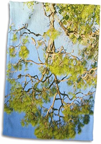 Кърпи 3dRose Florene Trees - Отражение на дървета - twl-19030-1)