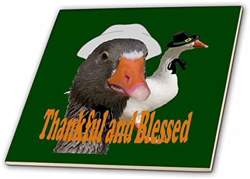3подросток Благодарни и Блажени Уточок-Поклонници в костюми на Деня на Благодарността - Плочки (ct_350462_1)