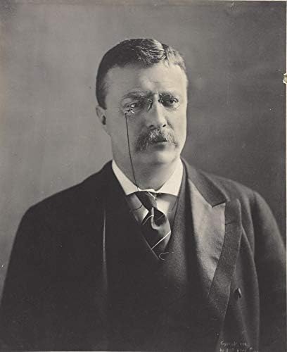Снимка на Теодор Рузвелт - Историческо произведение на изкуството 1902 година - Портрет на Президента на САЩ - (8 x 10) - Полуглянцевый