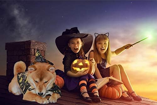 Vehomy куче Хелоуин костюм на куче, котка на Хелоуин вещица, дъждобран-наметало и кученце, коте, вещица, шапка с майстор на тикви