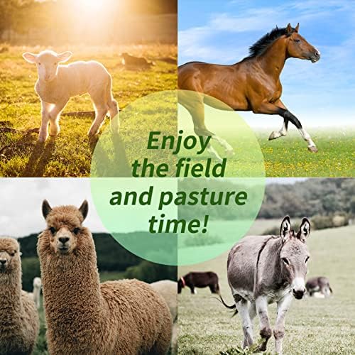 RideFound 30-Инчови Конни Игри Топки Anti-Burst Овчарски Топка за Коня Мега един конете Топка за игра в Тренировъчния Конен