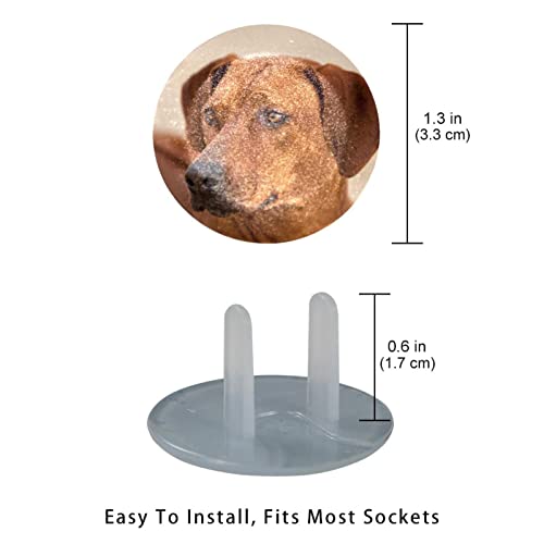 Капачки за ключове за кучета порода родезийски риджбек 12 бр. - Защитни капачки за контакти, за деца – Здрави и устойчиви – Лесно
