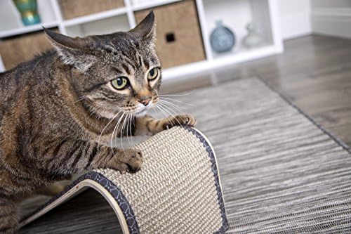 Скат за котешки драскотини SmartyKat от Сизал, Включва Кошачью мента - Естествен, Един размер, Кафяво