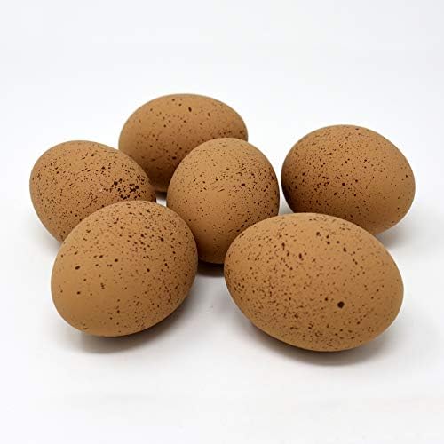 Керамични вложени яйца Cackle Hatchery (6 карата) (асорти - кафяви и бели)