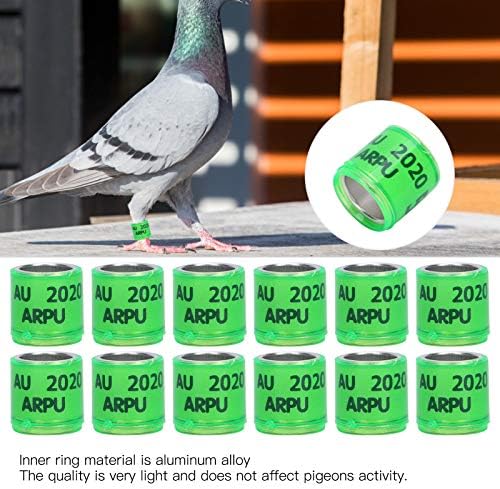CHICIRIS Pigeons Identify, Лека клипса за гълъби, Практически фирма за домашни гълъби (Зелена)