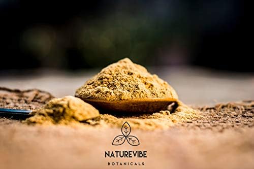 Naturevibe Растителен Прах от миещ орех 8 грама и е от Естествен прах Мультани Митти | Комбинация от Билкови прахове