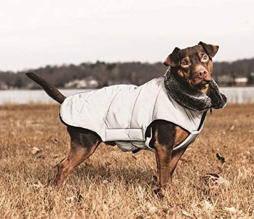 Умна Светоотражающая яке за кучета Dog Gone Meteor Tamarack, Сиво с цип цвят индиго, 16