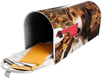 ASEELO Сладък Бийгъл Магнитна Капакът на Пощенската кутия Градина Двор Начало Декор за Улицата Стандартен Размер-18 X 20,8