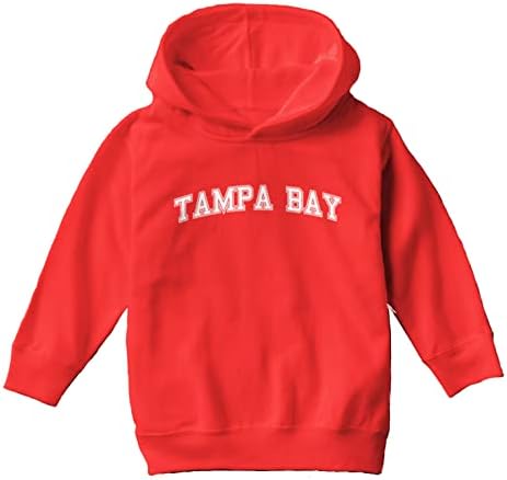 Haase Unlimited Tampa Bay - Спортна hoody за деца от градски училища на щата / Youth Руното hoody