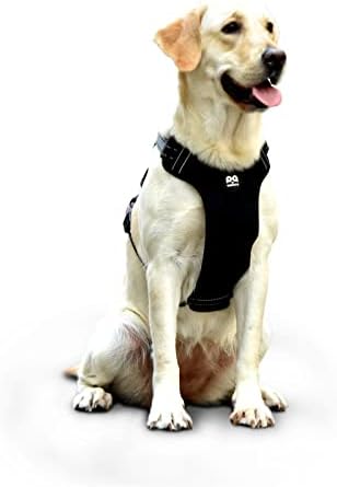 QQPETS No Pull Шлейка за кучета: Отразяваща Регулируема Оксфордския жилетка с мека подплата и удобна дръжка за управление за обучение