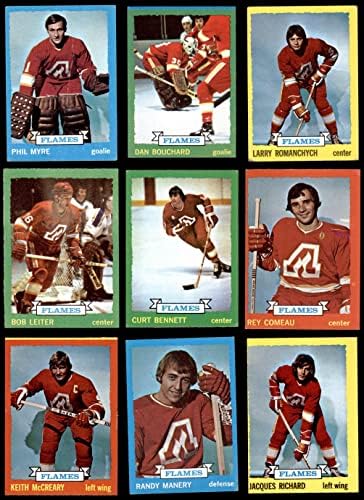 1973-74 Печели Калгари Флеймс Близо до командния сет Калгари Флеймс (сет) GD+ Flames