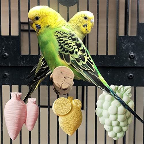 Играчка за Дъвчене птици-Папагали, 6 бр. Разноцветни Различни Плодови Стилове, Каменна Играчка За никнене на млечни зъби при