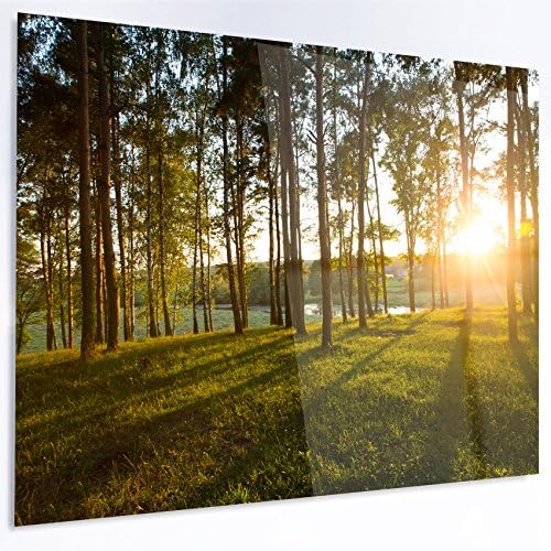 Designart Ярката слънчева светлина в Гъста гора - Голям Пейзаж на стената от лъскава метална, 28 x 48W x 1Г 4P, Зелен