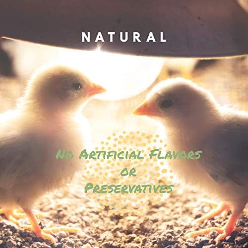 Manna Pro Chick Grit | Храносмилателна добавка за млади птици се размножават Бантам | Пробиотици за поддържане на храносмилането | Без