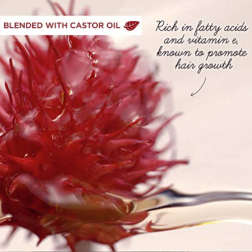 Възстановяващ балсам Garnier Whole Blends Maple Remedy, за суха, изтощена коса, 12,5 течни унции.