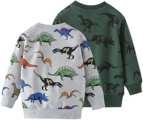 AQEACARMON Baby Boy Динозаврите през Цялата Силует Хлопчатобумажный Пуловер с Дълъг Ръкав Hoody