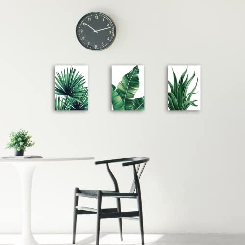 3 Предмет, Стенно Изкуство, с тропически растения за украса на Хола, 12 x 16, Стенен Декор Монстера за Спални, Стенно изкуство Джунглата