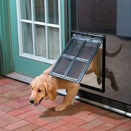 Двустранен вратата на достъпа за домашни любимци, Задвижваната с Мрежесто прозореца, на вратата на достъпа За Кучета, Задвижваната За