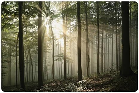 Foldout Горски Подложка за домашни за храна и вода, Сезонни фигура Изгрева на слънцето в Бирена гората Началото на есента, Правоъгълен