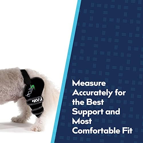 Еластична превръзка Balto Sport Agile CCL – Поддръжка на коляното за кучета – Мека, Дишаща Компресиране облекло Помага за Намаляване на