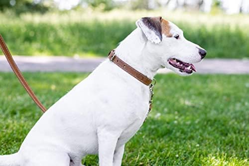 Евро-Нашийник За кучета Луксозен Нашийник за кучета от Мека Кожа, с Регулируема Катарама Произведено в САЩ Достъпен европейски