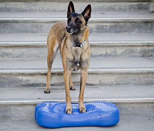 Платформа за тренировка на равновесие кучета FitPAWS® K9FITbone CanineGym® – Обикновен, син