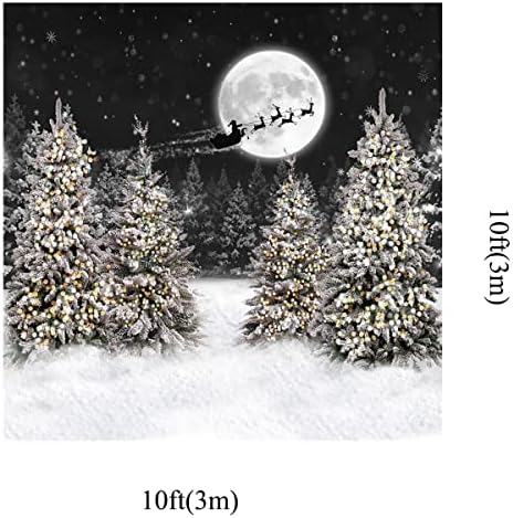 Кейт 10x6,5 фута Зимата Снежна Свят на Чудеса Фотофоны за Фотография в Навечерието на Коледа Шейната на Дядо Лосове Снимков Фон на Гората