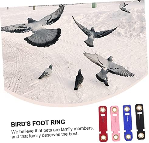 Ipetboom 12 Комплекта bird ' s Пръстен на щиколотке Птичи Стяга за Пръстен Пръстени, за Миролюбивия Крака Ленти с номера Папагали