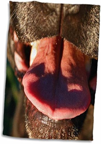 3 Животни от зоологическата градина Роза Сусанс - черно кученце носа, розов език, близък план - Кърпи (twl-184713-3)