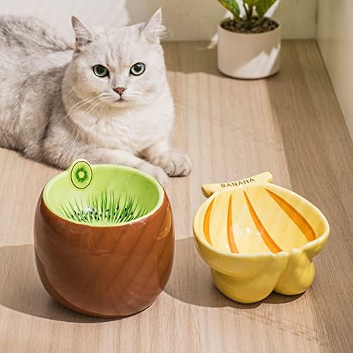 Повдигнати Купа за храна и вода под формата на плода, Керамична Купа за храна за котки и малки кучета-Orange-1