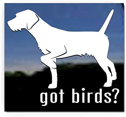 Има птици? ~ Vinyl Стикер на Прозореца за Кучета Pudelpointer