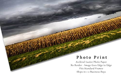 Снимка на буря, Принт (без рамка), Изображението на гръмотевична буря над царевично поле късно следобед във фермата в Канзас, Стенно