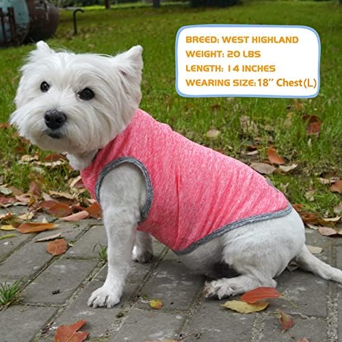 KYEESE 2 Опаковане на Ризи за кучета, бързо съхнещи Меки Еластични Тениски за кучета с Светоотражающей етикет, Риза, Жилетка без Ръкави за Малки Кучета, Солнцезащитная