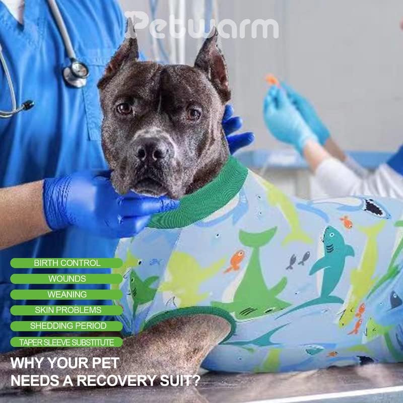 Костюм за възстановяване след операция PetWarm за кучета – Памучни Гащеризони за защита на Коремната кухина на Кучето След операция за мъже