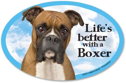 Магнити за кола Boxer: животът ще стане по-добре с Боксьор - Овал 6 x 4 за една кола / камион / хладилник / пощенска кутия (Забавни