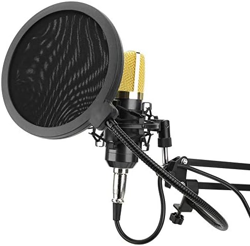 ALREMO HUANGXING - Комплект за студийната запис със Специален ветрозащитным конденсаторным микрофон от памучна мрежа с ниско ниво на шум за гласов чат (Flat Gold Blue) (Цвят: Flat Gold