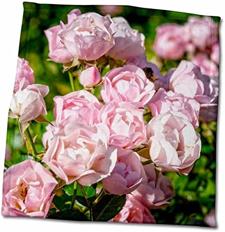 3. Засадени красиви нежно-розови рози в една слънчева цветна леха - Кърпи (twl-280788-3)
