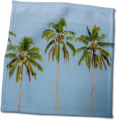 3. Да се отглеждат кокосови палми в backwaters на Керала - Кърпи (twl-187111-3)