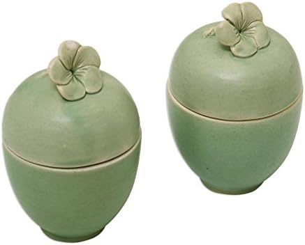 Декоративни керамични съдове за цветя NOVICA, Зелени, Frangipani Surprise' (Комплект от 2 броя)