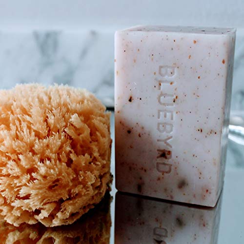 BLUEBYRD Soap Co. Отшелушивающее сапун с лавандула и мащерка, Веганское сапун студено пресовано, по-големи Парчета сапун с аромат на етерични масла от премиум-клас, Сапун-п
