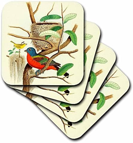 3dRose Ретро Разпечатки с Птици, Боядисани Овесени ядки, Художествена илюстрация с Разноцветни Птици - Влакчета (cst-364670-1)