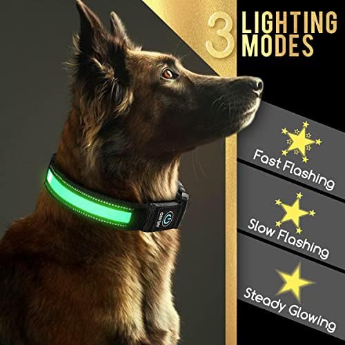 Светещи Нашийници за кучета, Акумулаторна батерия Led Яка Nobleza USB, Водоустойчив Нашийници за кучета с Подсветка за нощен сигурност (Зелен, M)