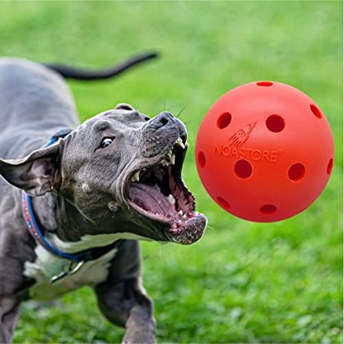 Noa Store Небьющийся Топка за кучета 10 Инча - Издръжлив и лесен Трудно топка за кучета от средни по размер 10 Инча