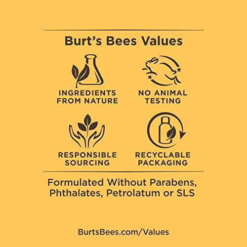 Бърт Bees Натурално Почистващо масло за лице за нормална и суха кожа, 6 унции (опаковка може да варира)